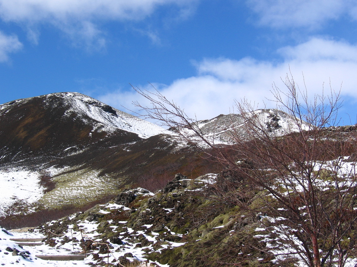 img_5249_resize
