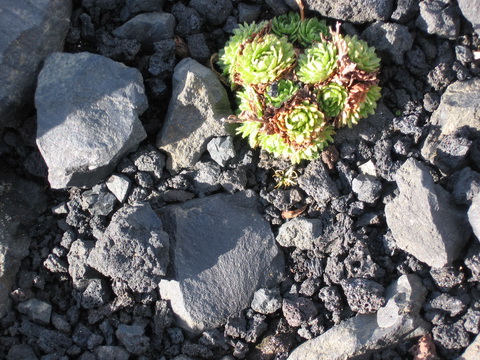 img_4885_resize