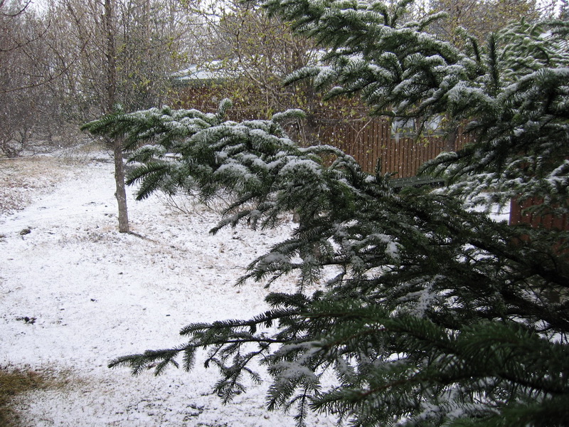 ... a já mu moc nevěřila!